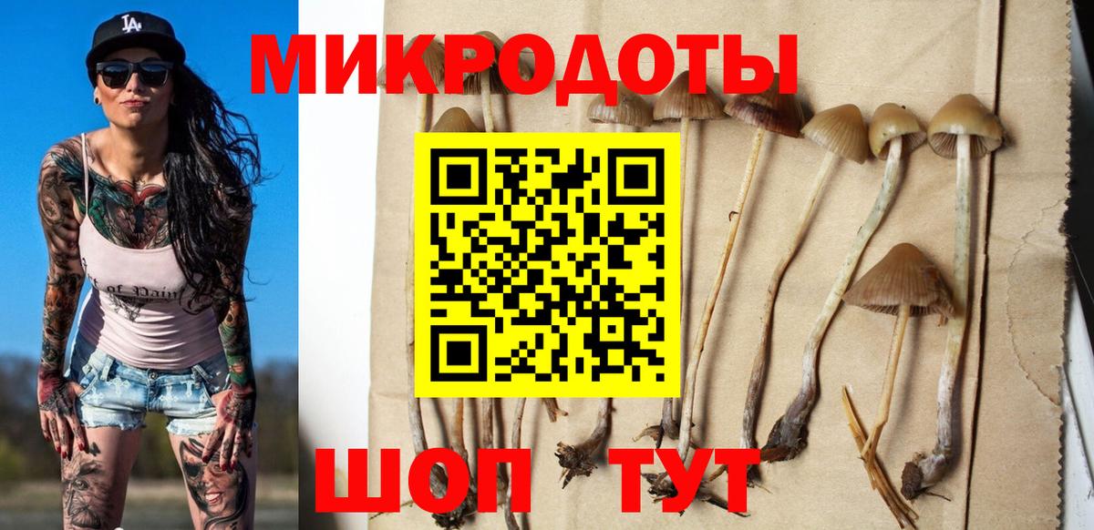 Галлюциногенные грибы Cubensis  Вход с VPN  Губкинский  Галлюциногенные грибы мухоморы 