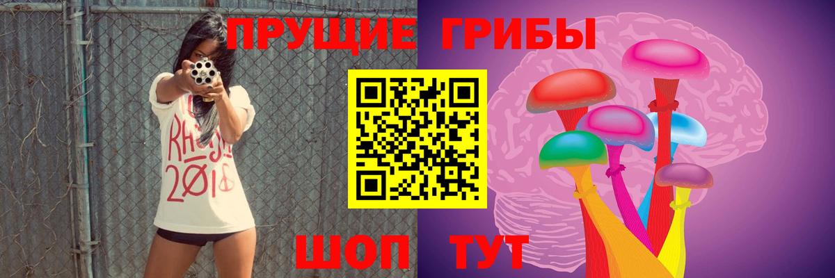 Псилоцибиновые грибы прущие грибы Губкинский