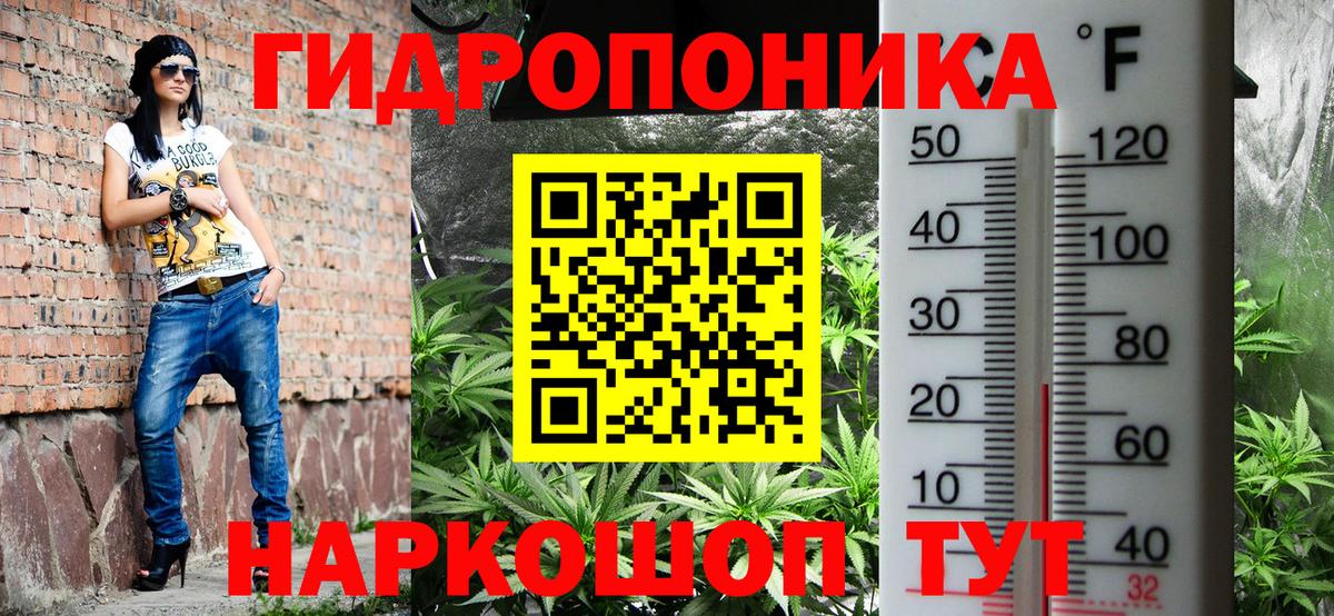 МАРИХУАНА конопля  Вход с VPN  Губкинский  Бошки Шишки сатива  Бошки Шишки план 